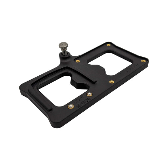 Dual RTK and DLS Mount