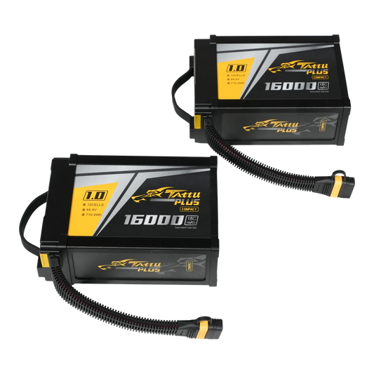 IF1200A Battery Set