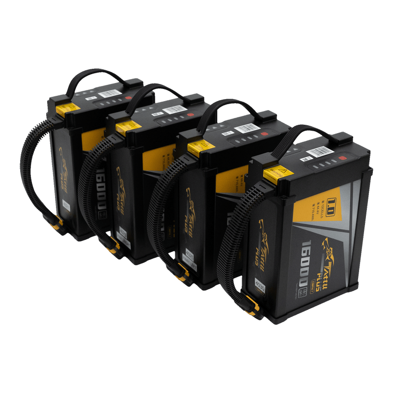 IF1200A Battery Charging Kit